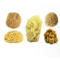 Anadolu deniz sungeri dogal