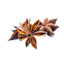 Anason Yildiz 100 gr